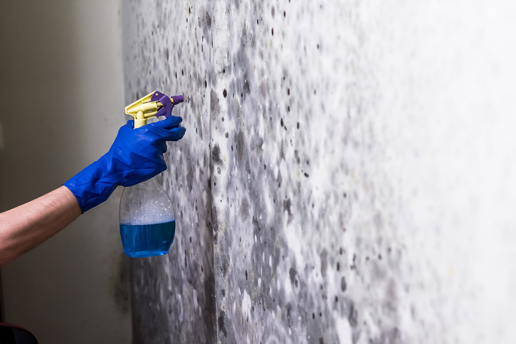 hand-spraying-mold-removal-product-to-a-mold-wall-york-pa