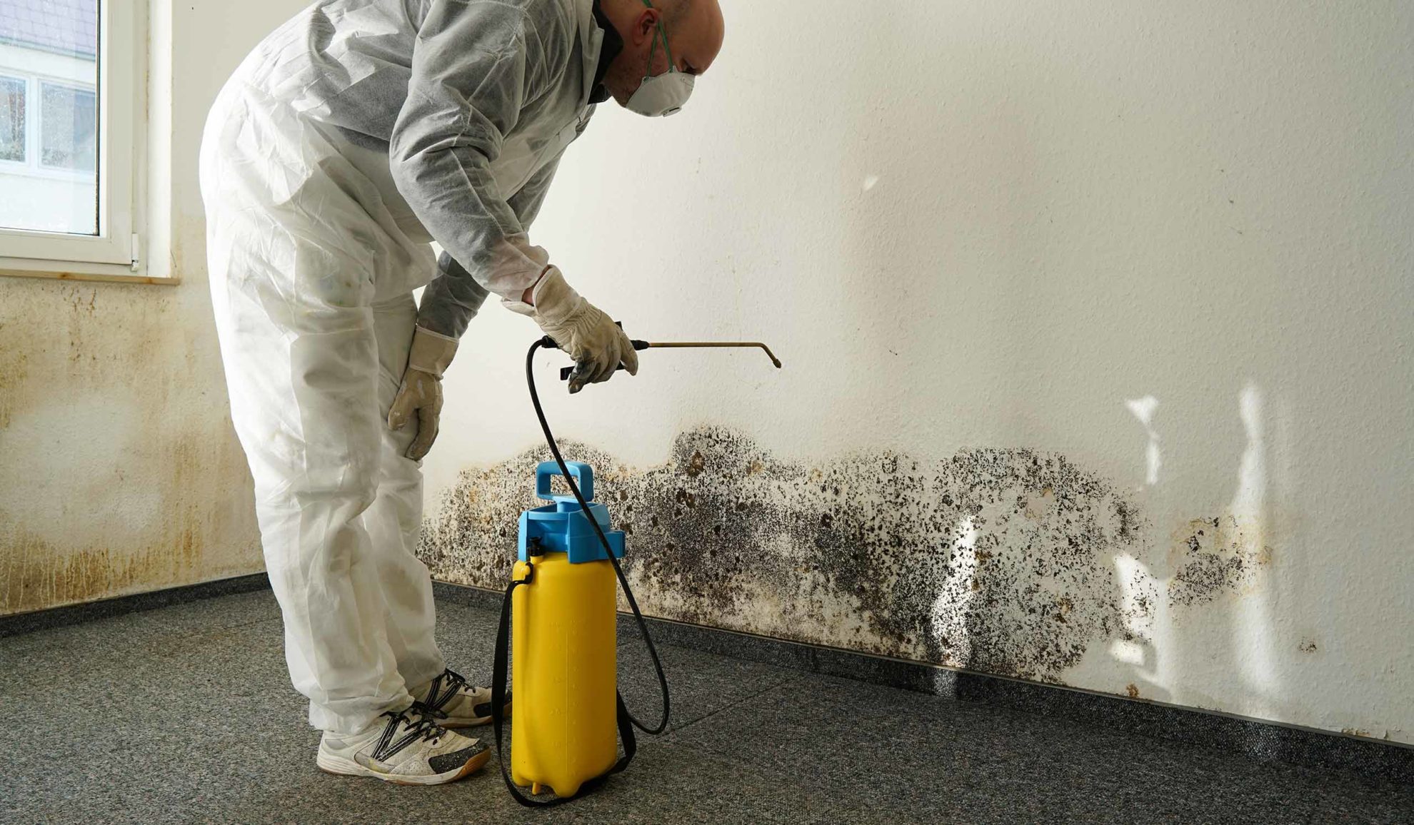worker-holding-mold-removal-spray-in-a-mold-populate-room-york-pa